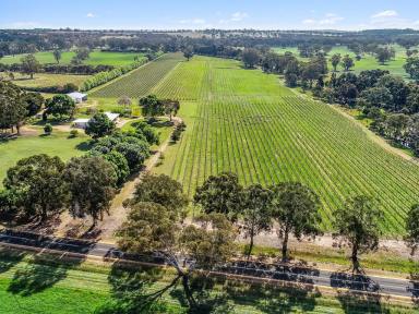 Farm Sold - SA - Naracoorte - 5271 - Escape To The Country - Stunning Lifestyle Property - 85.7 Acres  (Image 2)