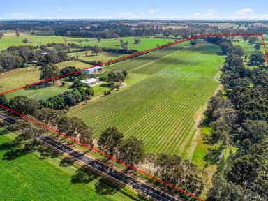 Farm Sold - SA - Naracoorte - 5271 - Escape To The Country - Stunning Lifestyle Property - 85.7 Acres  (Image 2)