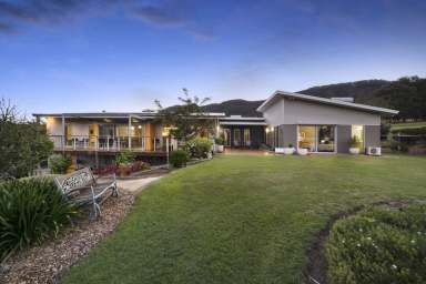 Farm Sold - NSW - Brunkerville - 2323 - Hunter Valley Sunrise  (Image 2)