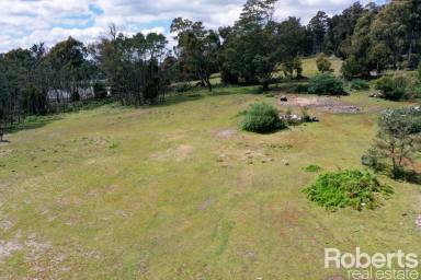 Farm Sold - TAS - Beaconsfield - 7270 - Land of opportunity  (Image 2)