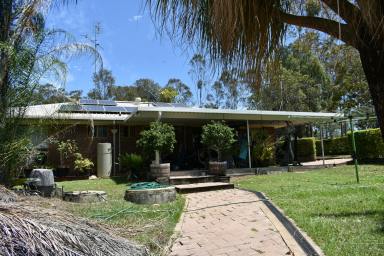 Farm Sold - QLD - Bauple - 4650 - More Than Meets the Eye  (Image 2)
