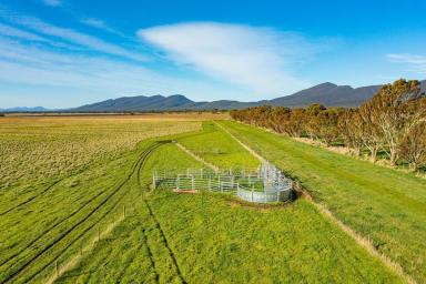 Farm Sold - VIC - Victoria Valley - 3294 - Productive potential  at foothills of the Grampians  (Image 2)
