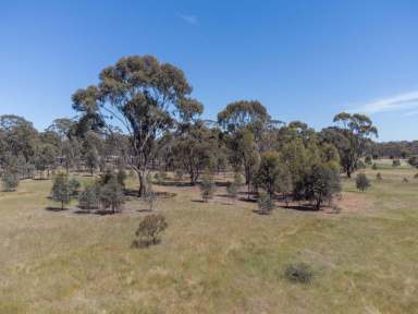 Farm Sold - VIC - Bealiba - 3475 - A heritage goldfields block  originally owned by Rebecca Darby circa 1918!  The sunset says it all!  (Image 2)