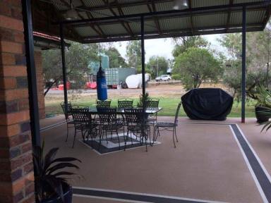 Farm Sold - QLD - Roma - 4455 - BEAUTIFUL DOUBLE BRICK CAVITY HOME SET ON 4.5 ACRES IN THE HEART OF ROMA  (Image 2)
