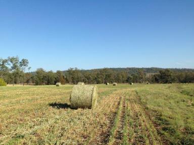 Farm Sold - NSW - Warialda - 2402 - Oregon Road- 100 Acres Black soil  (Image 2)