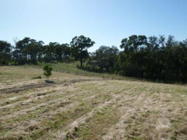Farm Sold - WA - Roelands - 6226 - We believe this to be the BEST piece of acreage land - only 15 mins to Bunbury CBD - What do you reckon?  (Image 2)