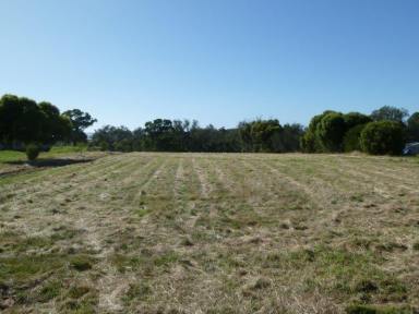 Farm Sold - WA - Roelands - 6226 - We believe this to be the BEST piece of acreage land - only 15 mins to Bunbury CBD - What do you reckon?  (Image 2)