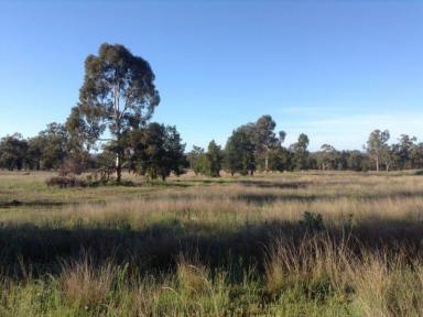 Farm Sold - NSW - Warialda - 2402 - Acerage close to town  (Image 2)