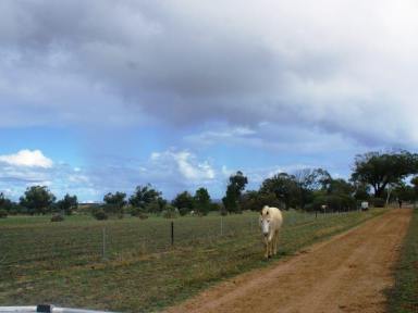 Farm Sold - WA - Moresby - 6530 - Few Drinks, Home Made Pizza & Spectacular Sunsets all While You Build Your Dream Home  (Image 2)