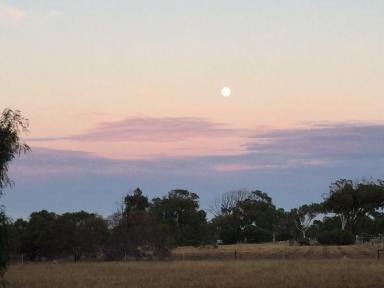 Farm Sold - WA - Moresby - 6530 - Few Drinks, Home Made Pizza & Spectacular Sunsets all While You Build Your Dream Home  (Image 2)