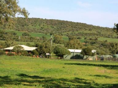 Farm Sold - WA - Bowes - 6535 - Picturesque Rural Lifestyle Property  (Image 2)