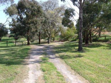 Farm Sold - VIC - Poowong - 3988 - 42 meg onstream dam and irrigation license  (Image 2)