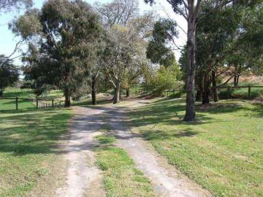 Farm Sold - VIC - Poowong - 3988 - 42 meg onstream dam and irrigation license  (Image 2)