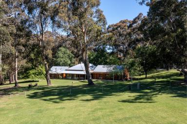 Farm Sold - NSW - Exeter - 2579 - ‘Ringwood Farm’  (Image 2)