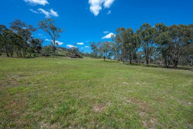 Farm Sold - NSW - Rylstone - 2849 - Small Acreage in a beautiful rural setting  (Image 2)