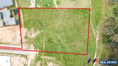 Farm Sold - VIC - Myrtleford - 3737 - A rare opportunity  (Image 2)