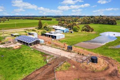 Farm Sold - VIC - Glenfyne - 3266 - High Quality South West Victoria Country  (Image 2)