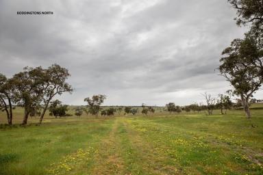 Farm Sold - SA - Naracoorte - 5271 - Four lots offered via auction  (Image 2)