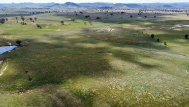 Farm Sold - NSW - Rylstone - 2849 - SPRINGDALE      377 Acres of Prime Grazing  (Image 2)