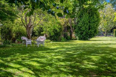 Farm Sold - NSW - Fitzroy Falls - 2577 - Peaceful Family Home on Over One Acre  (Image 2)