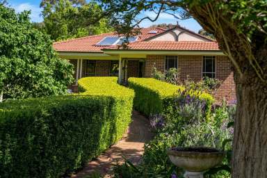 Farm Sold - NSW - Fitzroy Falls - 2577 - Peaceful Family Home on Over One Acre  (Image 2)