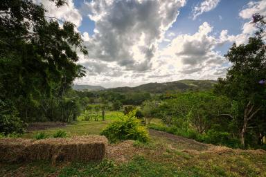Farm Sold - QLD - Habana - 4740 - Habana Homestead with Stunning Views  (Image 2)