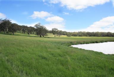 Farm Sold - VIC - Sandford - 3312 - FIRST CLASS LIFESTYLE OR GRAZING OPPORTUNITY  (Image 2)