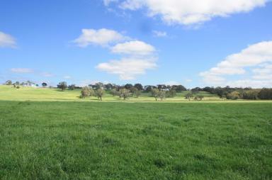 Farm Sold - VIC - Sandford - 3312 - FIRST CLASS LIFESTYLE OR GRAZING OPPORTUNITY  (Image 2)
