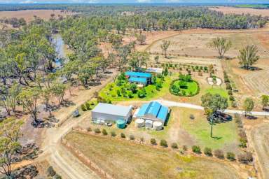 Farm Sold - NSW - Gonn - 2732 - A special Property backing onto the Barbers Creek in a quiet bush setting  (Image 2)