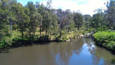 Farm Sold - NSW - Bostobrick - 2453 - Beautiful Nymboida River block - Only 15 minutes to Dorrigo  (Image 2)