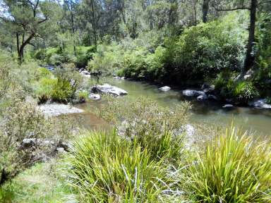 Farm Sold - NSW - Bostobrick - 2453 - Beautiful Nymboida River block - Only 15 minutes to Dorrigo  (Image 2)