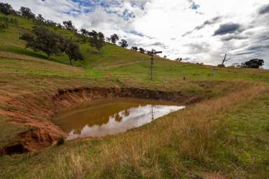 Farm For Sale - VIC - Ebden - 3691 - Hume Weir Views With An Easterly Aspect... Your chance to call Ebden home!!!  (Image 2)