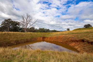 Farm For Sale - VIC - Ebden - 3691 - Hume Weir Views With An Easterly Aspect... Your chance to call Ebden home!!!  (Image 2)