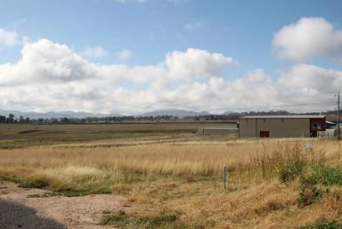 Farm Sold - NSW - Quirindi - 2343 - PRIME POSITIONED INDUSTRIAL SITE  (Image 2)