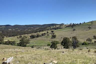 Farm Sold - NSW - Mudgee - 2850 - RECREATION and CREEK FRONTAGE  (Image 2)