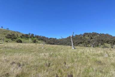 Farm Sold - NSW - Mudgee - 2850 - RECREATION and CREEK FRONTAGE  (Image 2)