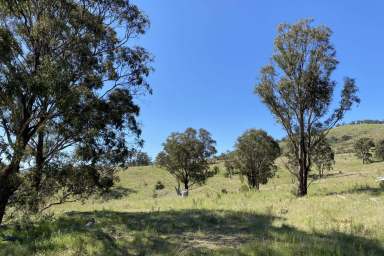 Farm Sold - NSW - Mudgee - 2850 - THE ULTIMATE RECREATION BLOCK  (Image 2)