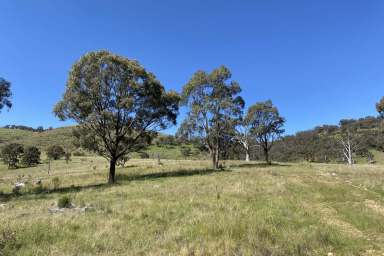 Farm Sold - NSW - Mudgee - 2850 - THE ULTIMATE RECREATION BLOCK  (Image 2)