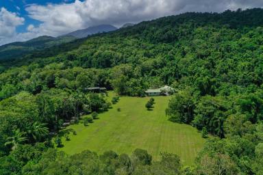 Farm Sold - QLD - Aloomba - 4871 - 80 ACRES OF TROPICAL RAINFOREST | VALLEY & DISTRICT VIEWS| MULTI-GENERATION LIVING  (Image 2)