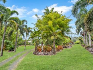 Farm Sold - QLD - Goldsborough - 4865 - Architecturally designed  - Sought-after location - 4,673m2  (Image 2)