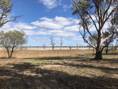 Farm Sold - NSW - Euston - 2737 - LIFESTYLE WITH WONDERFUL WATER VIEWS  (Image 2)