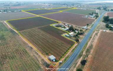 Farm Sold - VIC - Birdwoodton - 3505 - QUALITY MIXED GRAPE ENTERPRISE  (Image 2)