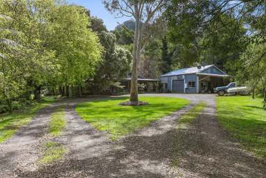 Farm Sold - VIC - Apollo Bay - 3233 - Tranquil rainforest wonderland  (Image 2)