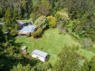 Farm Sold - VIC - Apollo Bay - 3233 - Tranquil rainforest wonderland  (Image 2)