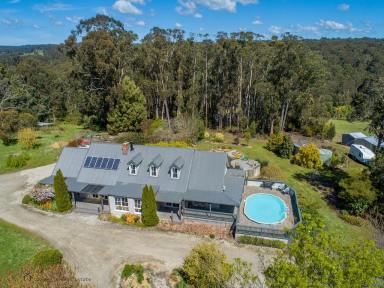 Farm Sold - VIC - Forrest - 3236 - Forrest View - Rare opportunity in the Otways  (Image 2)