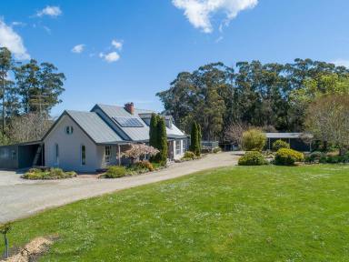 Farm Sold - VIC - Forrest - 3236 - Forrest View - Rare opportunity in the Otways  (Image 2)
