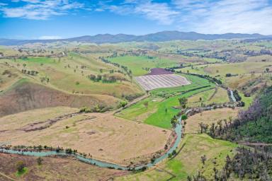 Farm Sold - VIC - Buchan - 3885 - 37 Acres with Frontage to Buchan River  (Image 2)