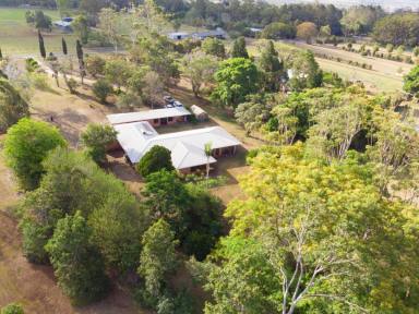 Farm Sold - QLD - Tolga - 4882 - 5 Acres In Highly Sought After Area  (Image 2)