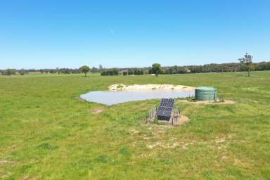 Farm Sold - VIC - Fernbank - 3864 - 80 Ha Farming Lifestyle – Fernbank  (Image 2)