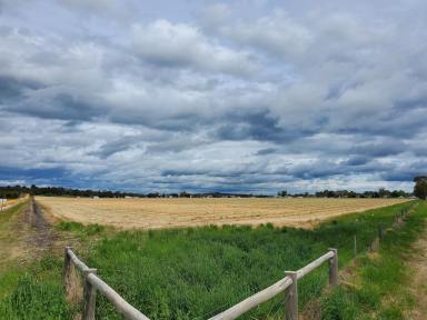 Farm Sold - SA - Naracoorte - 5271 - Lifestyle / Income Opportunity - 113.19 Acres  (Image 2)